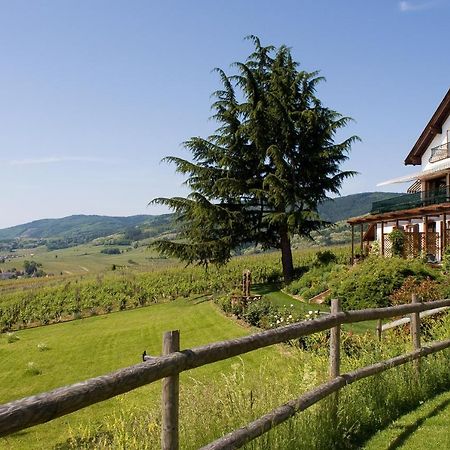 Le Clos Saint-Vincent Ribeauvillé Dış mekan fotoğraf