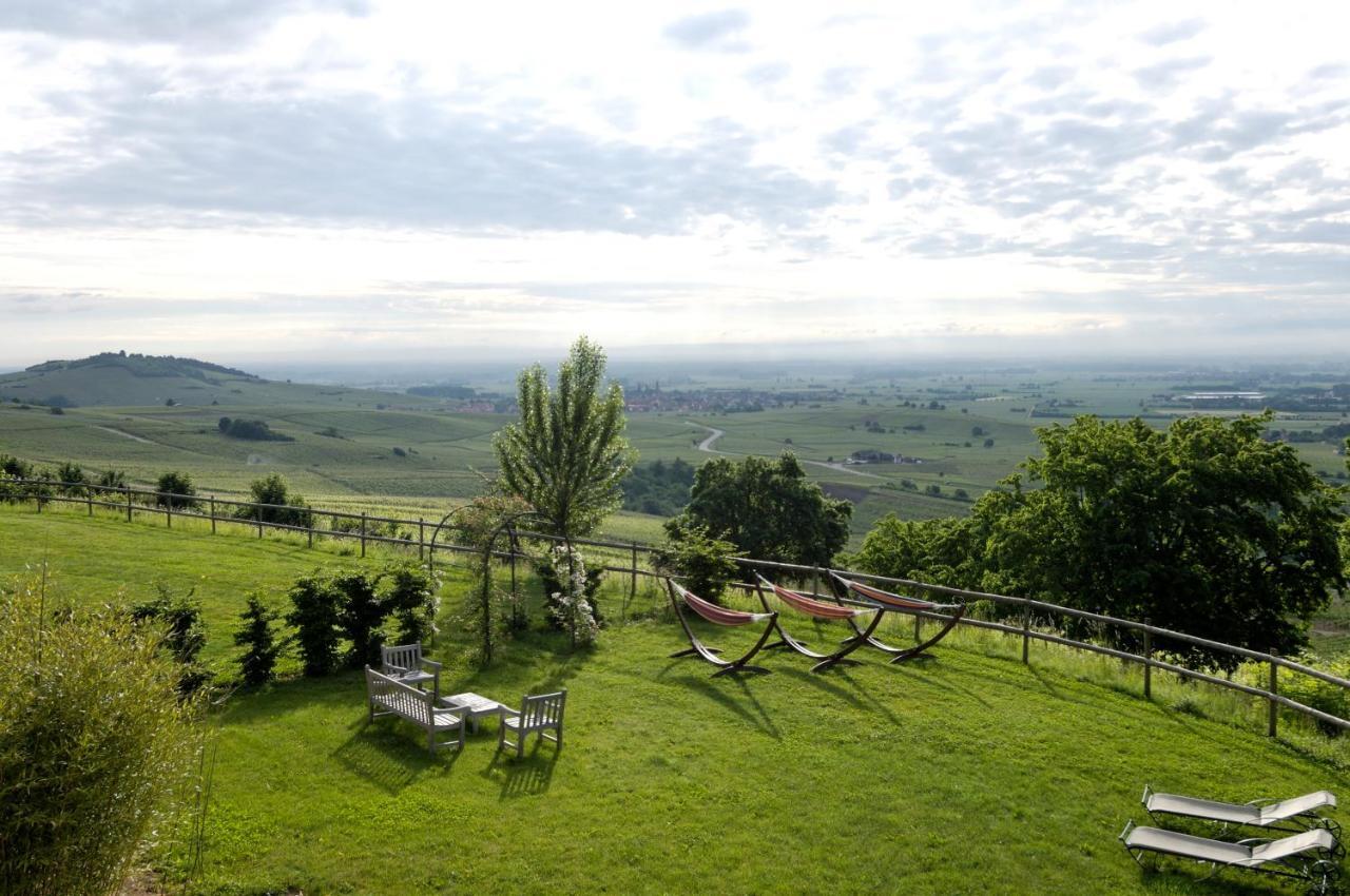 Le Clos Saint-Vincent Ribeauvillé Dış mekan fotoğraf